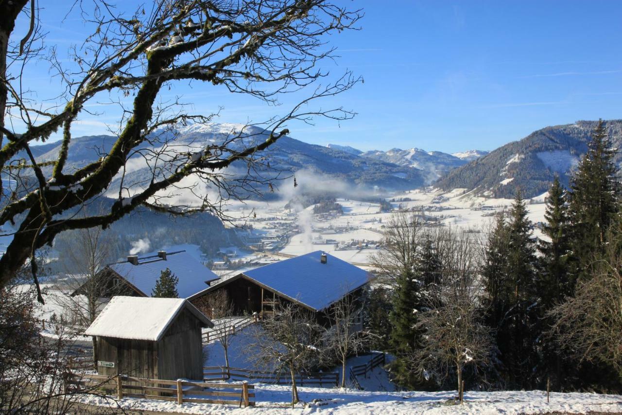 Apartment Poetzelberghof Altenmarkt im Pongau Eksteriør billede